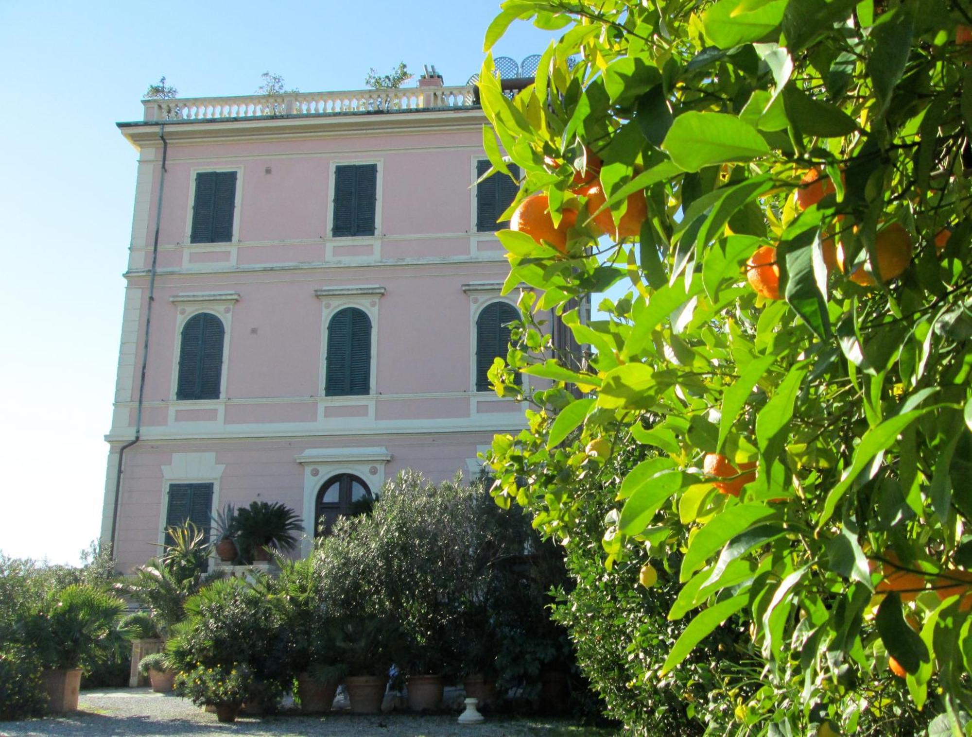 Hotel Italia มารีนา ดิ มาซซา ภายนอก รูปภาพ